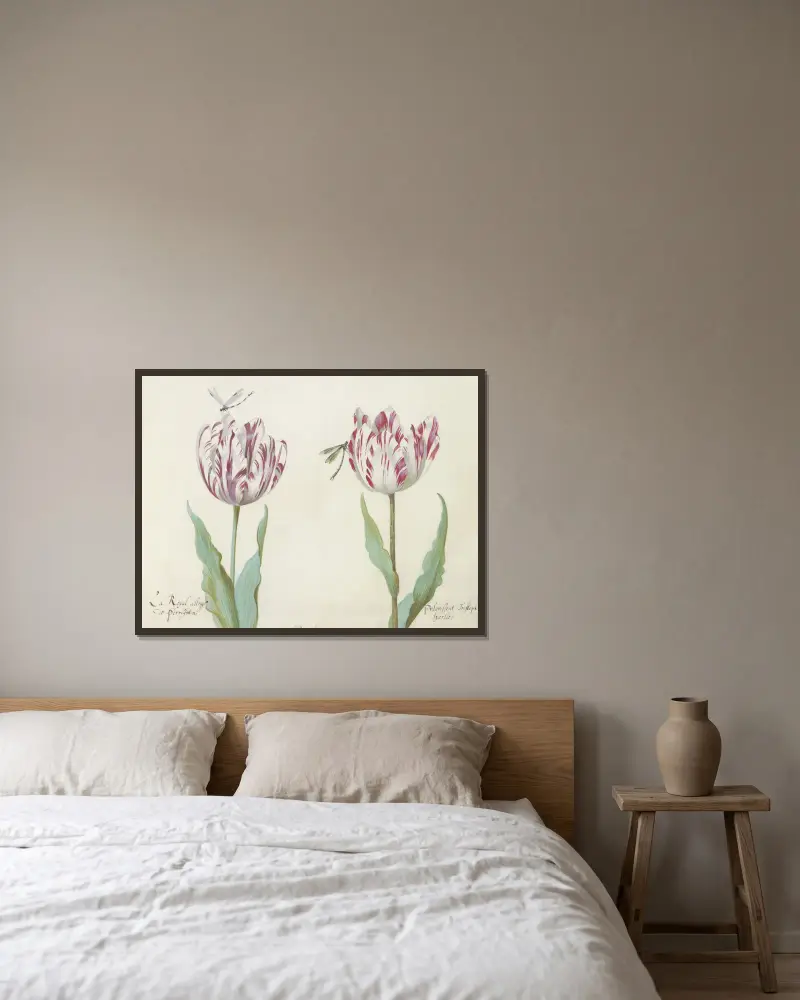 Twee tulpen met twee libellen av Jacob Marrel inramad på en vägg