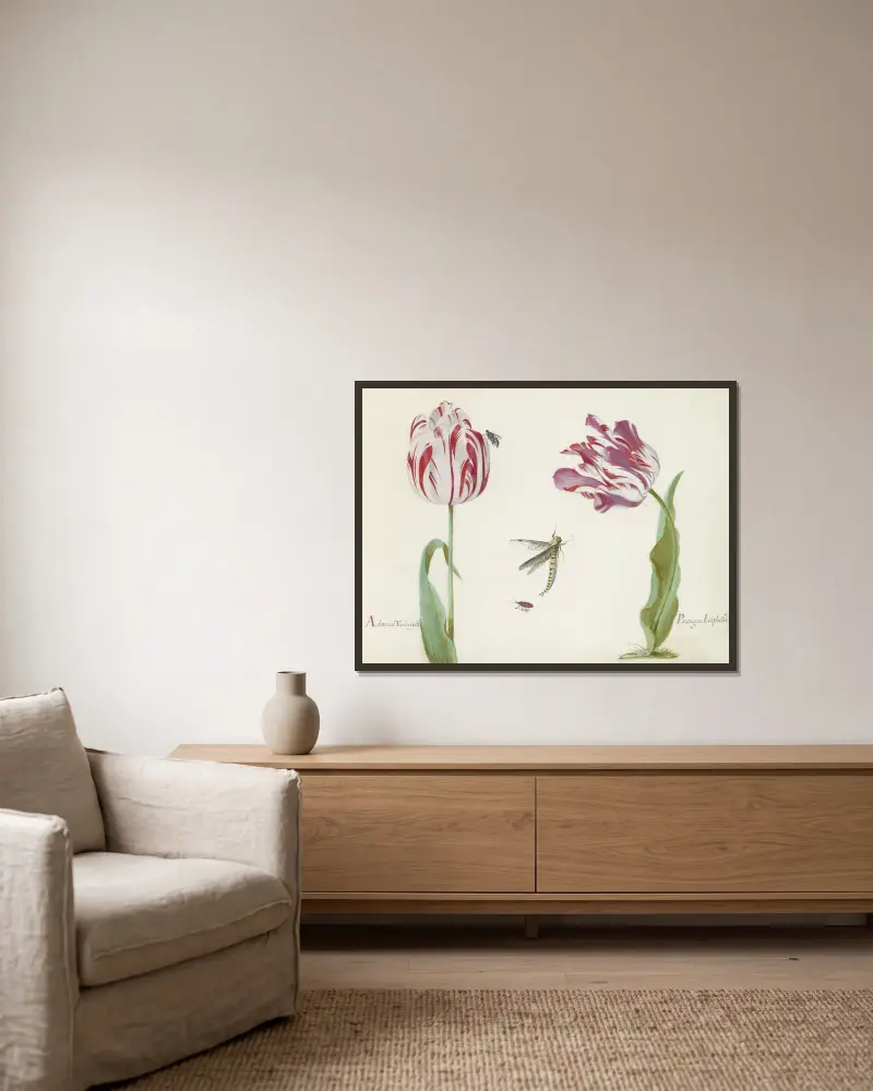 Twee tulpen met vlieg, libelle en kever Admaral Vanden eijck Parangun Liphcks av Jacob Marrel inramad på en vägg