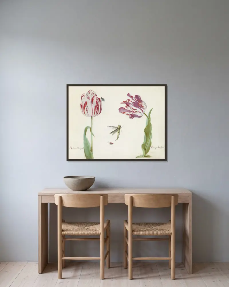 Twee tulpen met vlieg, libelle en kever Admaral Vanden eijck Parangun Liphcks av Jacob Marrel inramad på en vägg