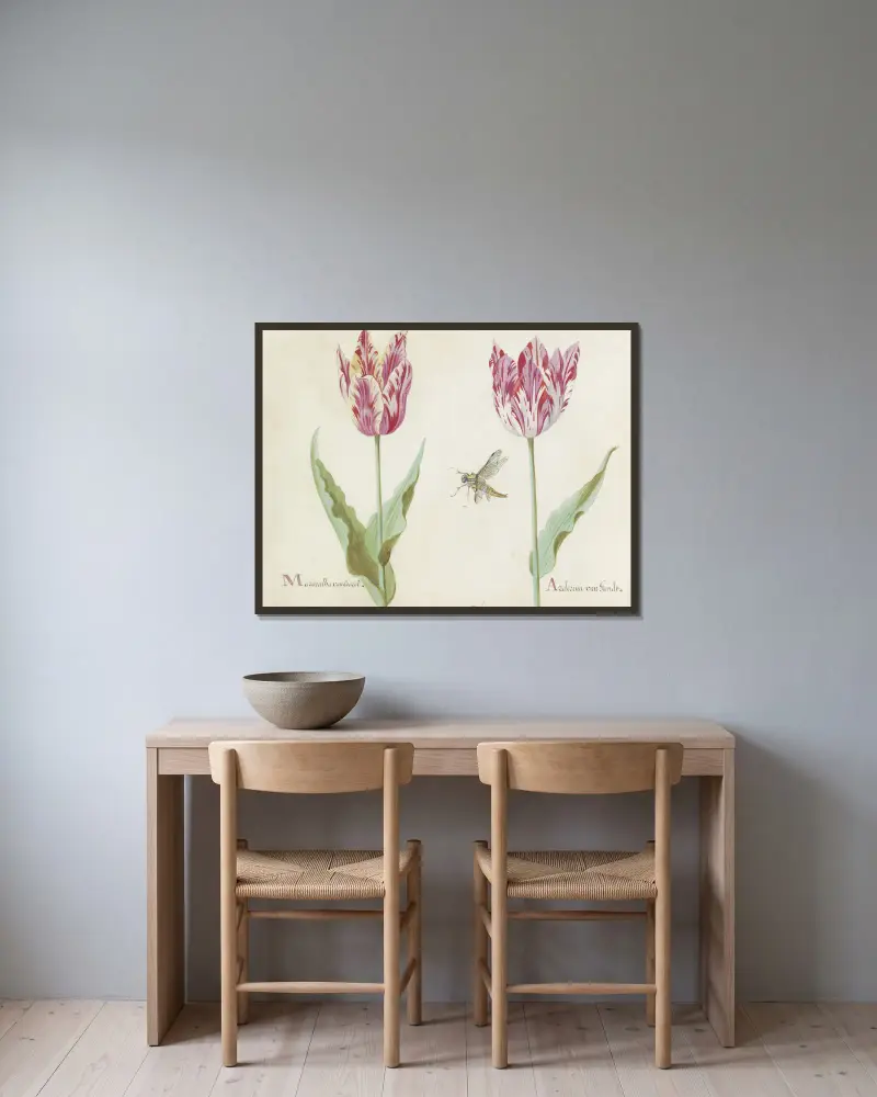 Twee tulpen met vlieg Marauilha van Coacel Arderina van Gandt av Jacob Marrel inramad på en vägg