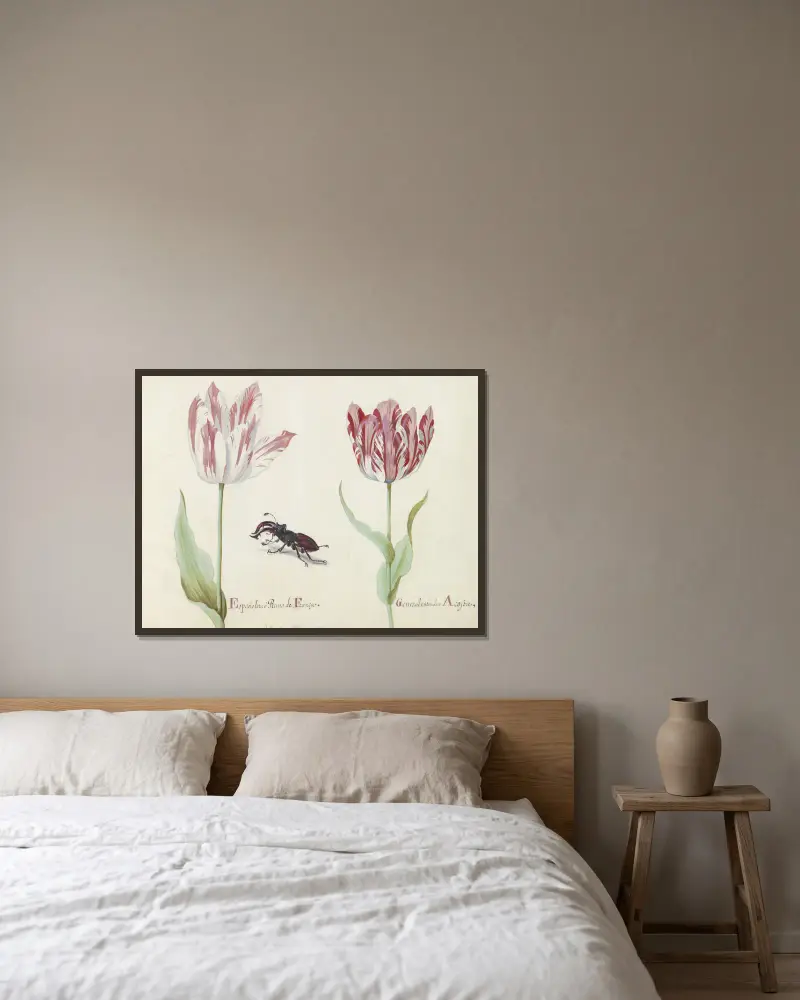 Zwei Tulpen mit Hirschkäfer Espanoleta o Reina de Franca General estendart Acosta von Jacob Marrel gerahmt an einer Wand