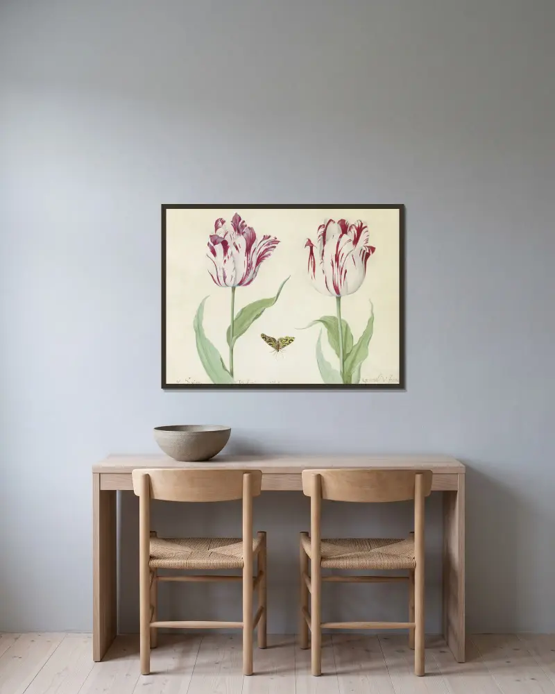 Twee tulpen met vlinder G(enera)l Sipion Victorij General de france av Jacob Marrel inramad på en vägg
