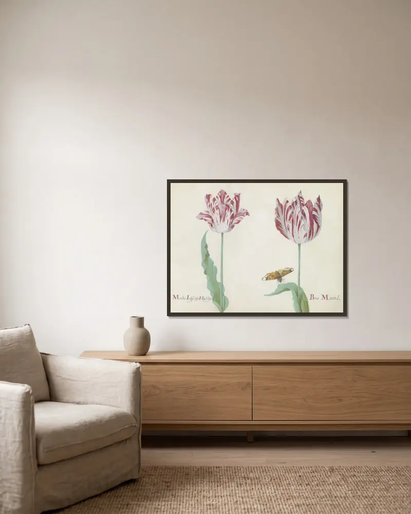 Twee tulpen met vlinder Marbre Laspe offt Hoijdelifes Bont Manttel av Jacob Marrel inramad på en vägg