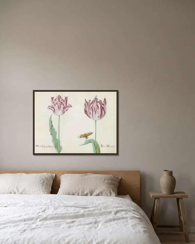 Twee tulpen met vlinder Marbre Laspe offt Hoijdelifes Bont Manttel av Jacob Marrel inramad på en vägg