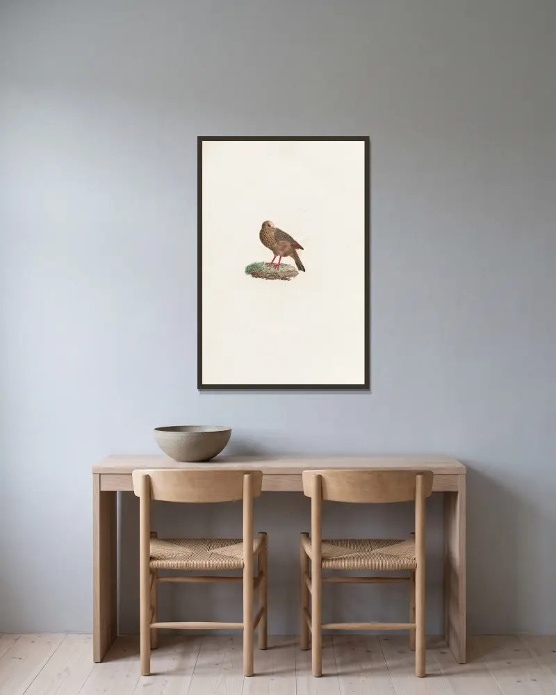 Les pigeons Pl. 84, Coenraad Jacob Temminck v rámu na stěně