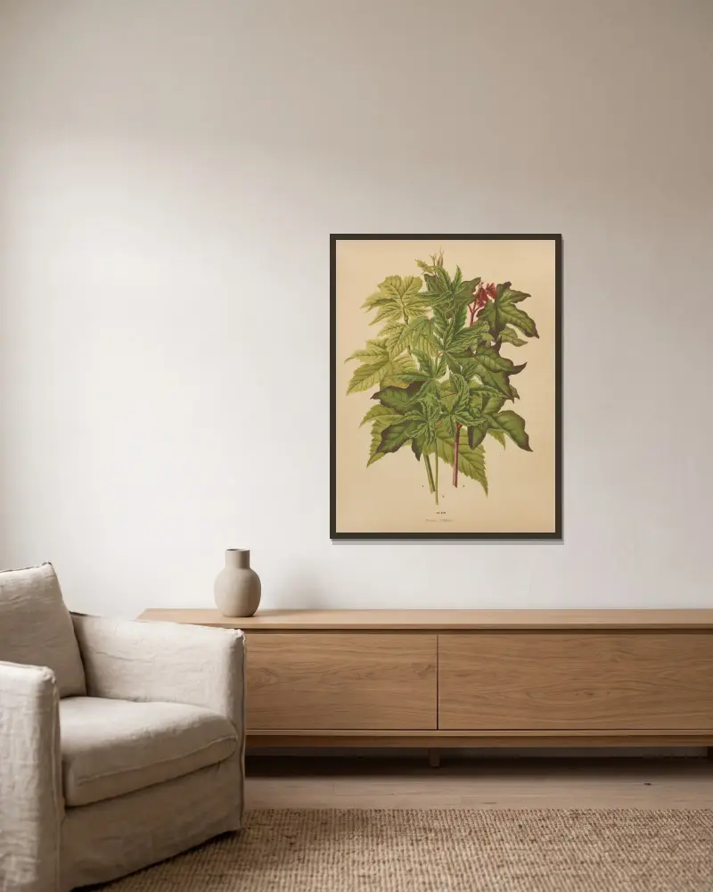 Acer von Abraham Jacobus Wendel gerahmt an einer Wand
