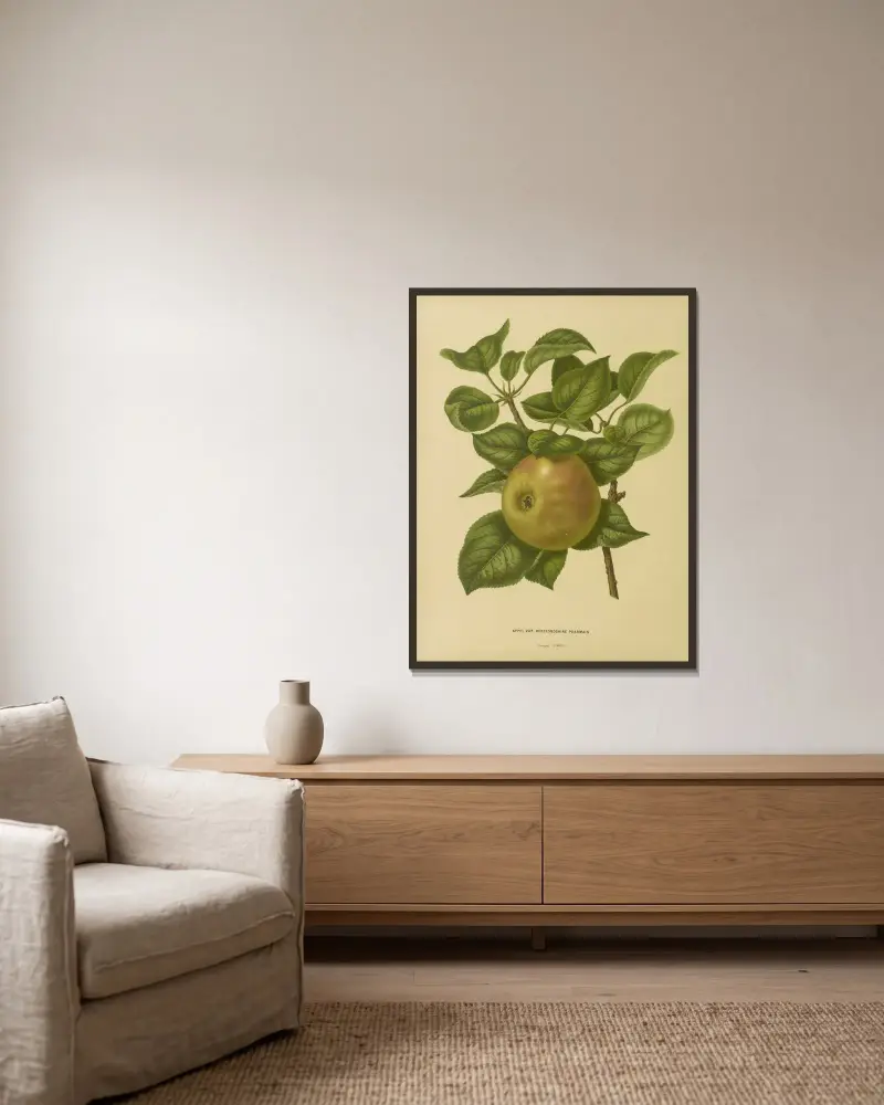 Appel Var. Herefordshire Pearmain av Abraham Jacobus Wendel inramad på en vägg