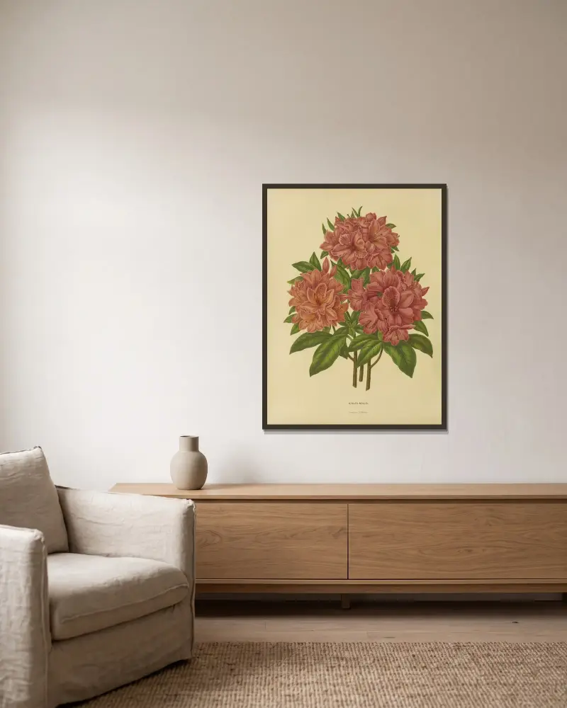 Azalea Mollis av Abraham Jacobus Wendel inramad på en vägg