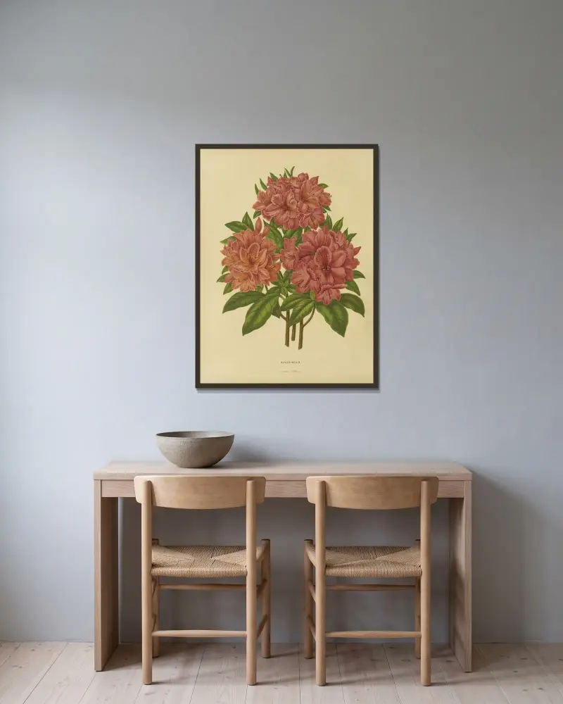 Azalea Mollis av Abraham Jacobus Wendel inramad på en vägg