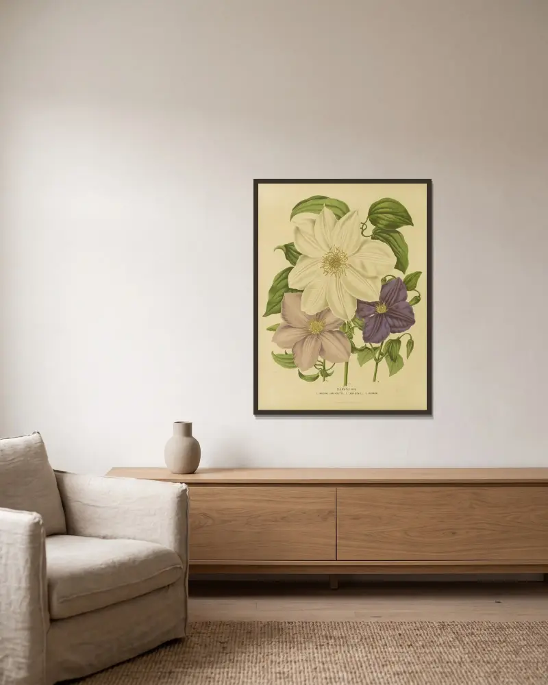 Clematis Hyb 1. Madame Van Houtte 2. Lady Bovill 3. Jackmani av Abraham Jacobus Wendel inramad på en vägg