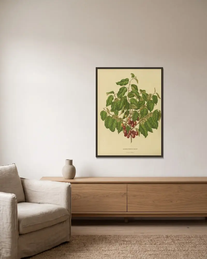 Elaeagnus Odoratus Edulus, Abraham Jacobus Wendel w ramie na ścianie