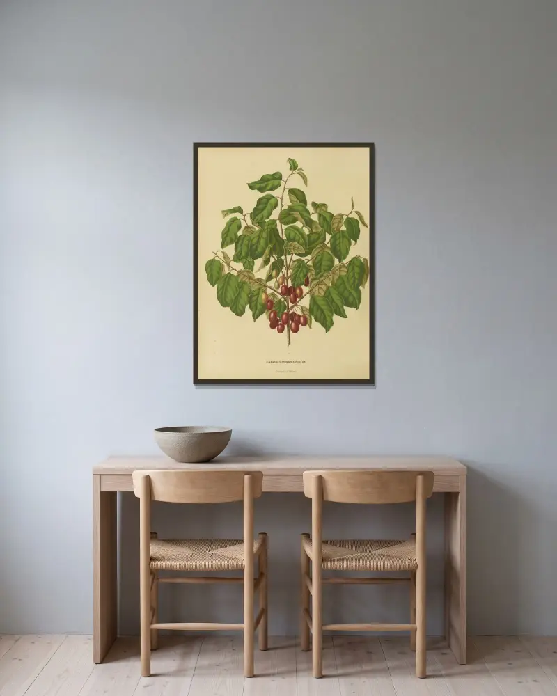 Elaeagnus Odoratus Edulus, Abraham Jacobus Wendel w ramie na ścianie