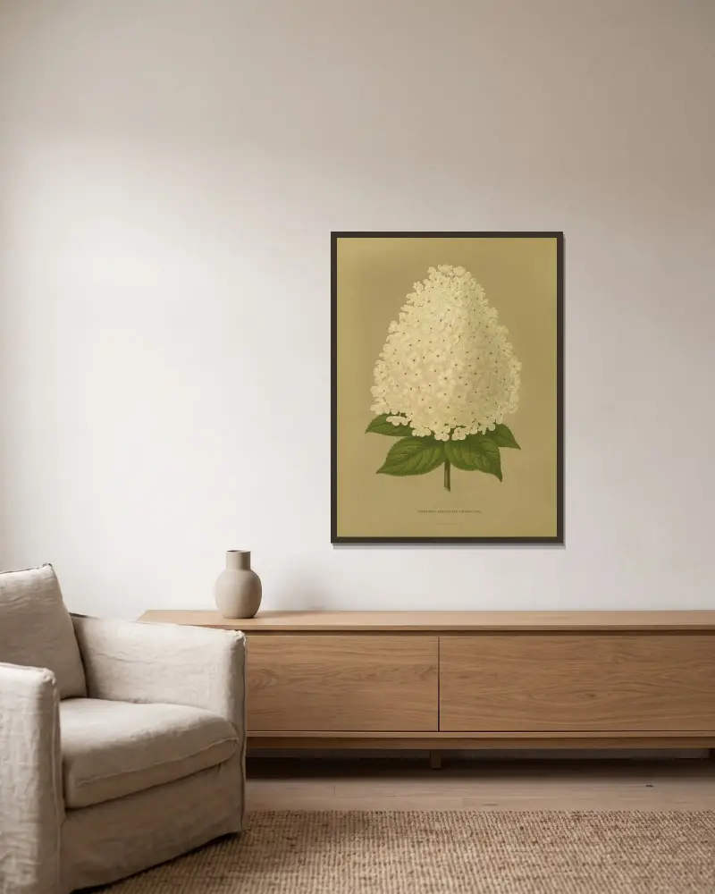 Hydrangea Paniculata Grandiflora, Abraham Jacobus Wendel w ramie na ścianie