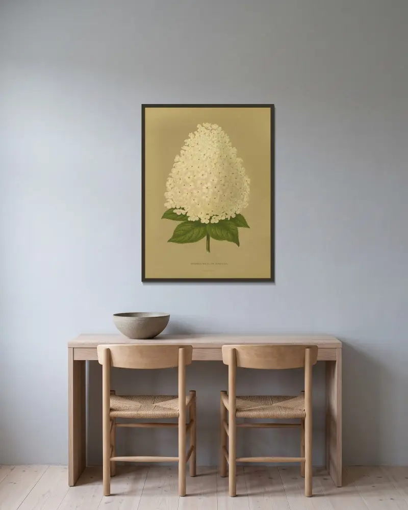 Hydrangea Paniculata Grandiflora, Abraham Jacobus Wendel w ramie na ścianie