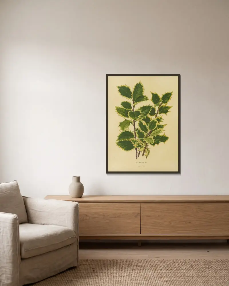 Ilex Aquifolia Var. av Abraham Jacobus Wendel inramad på en vägg