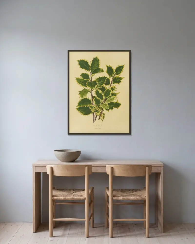 Ilex Aquifolia Var. av Abraham Jacobus Wendel inramad på en vägg