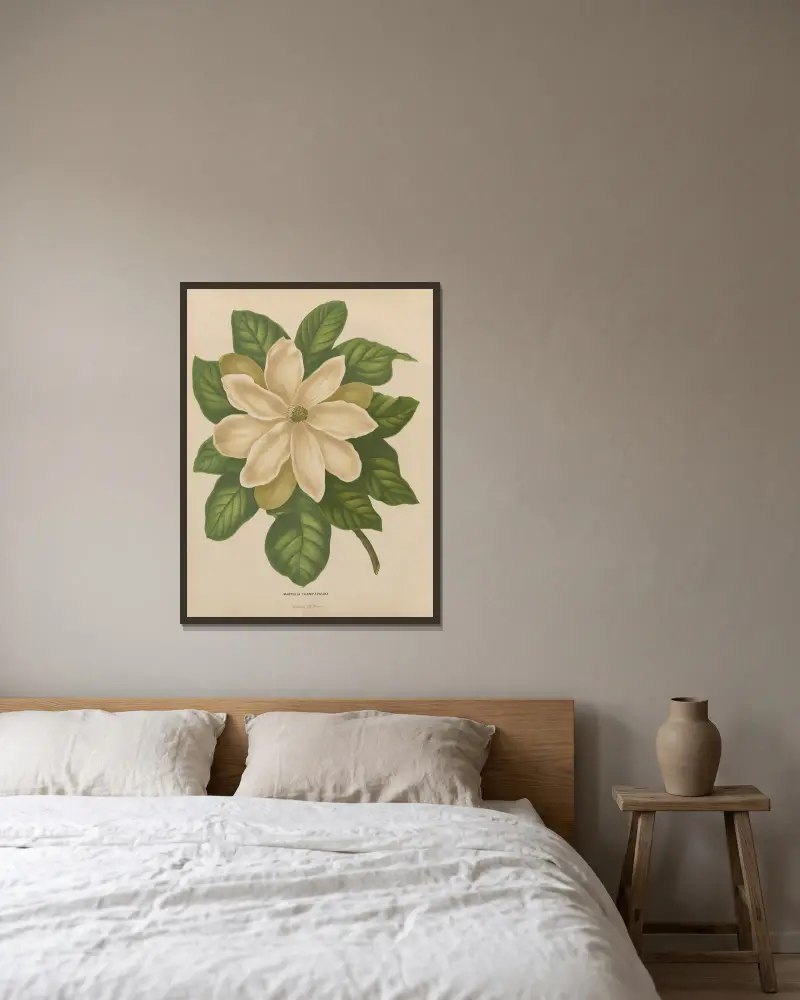 Magnolia Thompsoniana av Abraham Jacobus Wendel inramad på en vägg