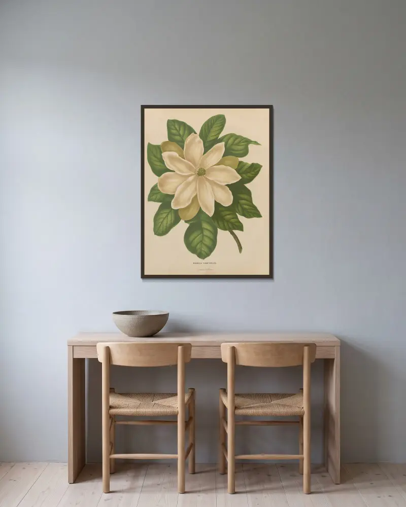 Magnolia Thompsoniana av Abraham Jacobus Wendel inramad på en vägg
