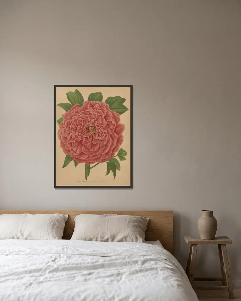 Paeonia Arborea Var. Elisabeth av Abraham Jacobus Wendel inramad på en vägg