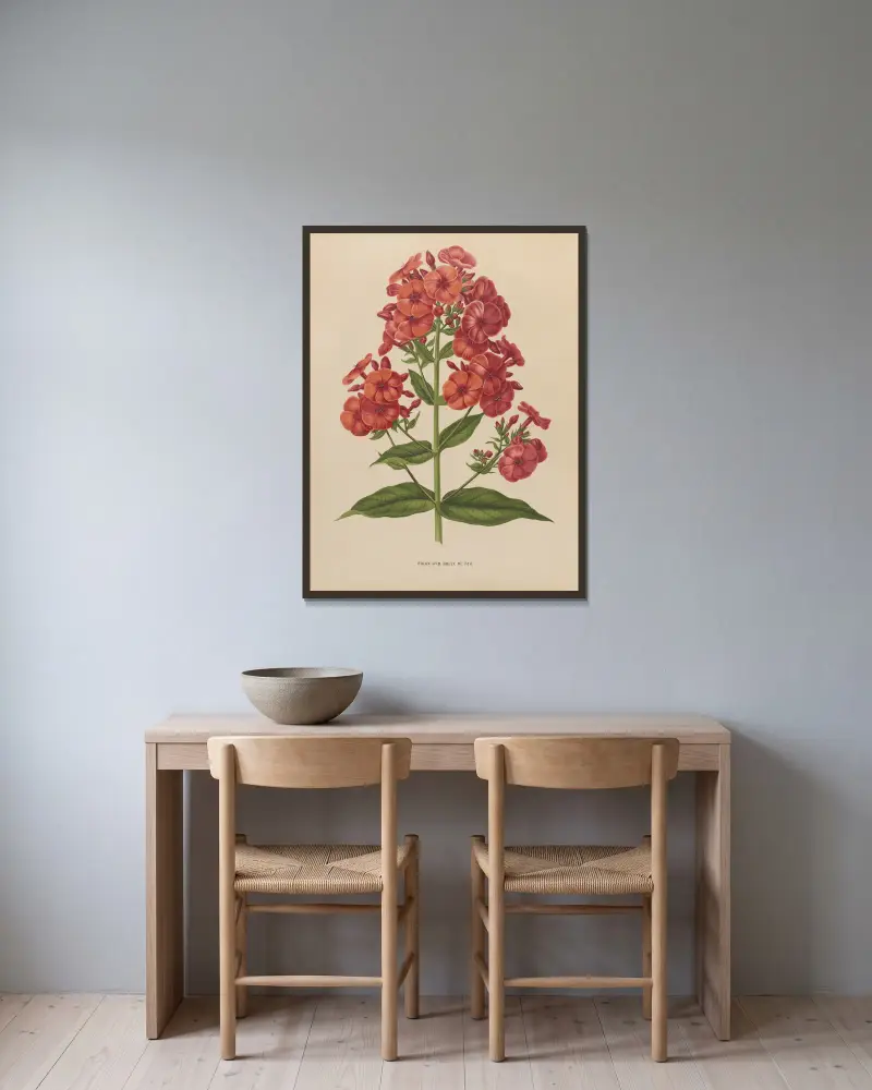 Phlox Hyb. Boule De Feu av Abraham Jacobus Wendel inramad på en vägg