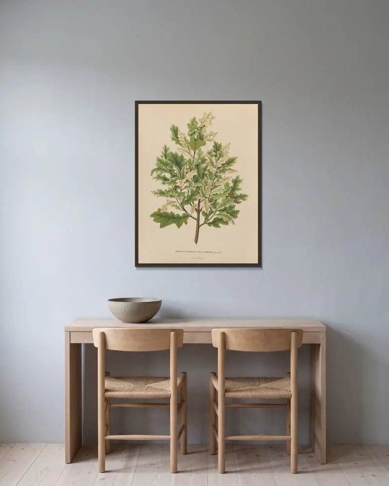 Quercus Fastigeata Foliis Punctata av Abraham Jacobus Wendel inramad på en vägg