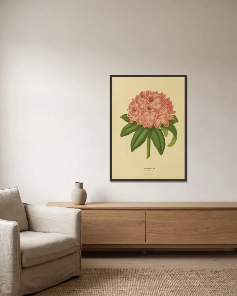 Rhododendron Hyb. Lady Emily Peel av Abraham Jacobus Wendel inramad på en vägg