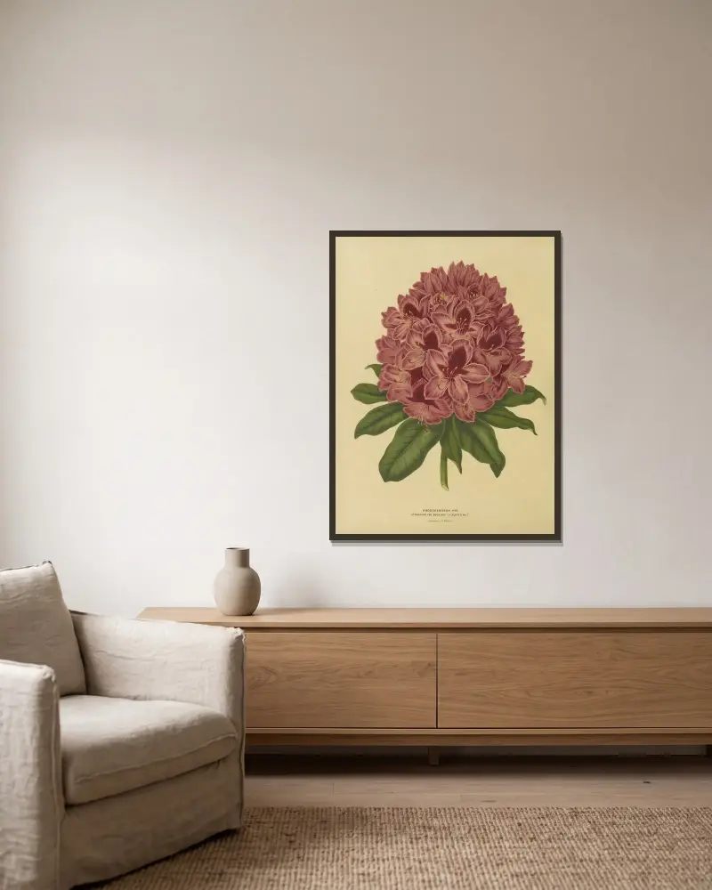 Rhododendron Hyb. Standaard Van Boskoop av Abraham Jacobus Wendel inramad på en vägg