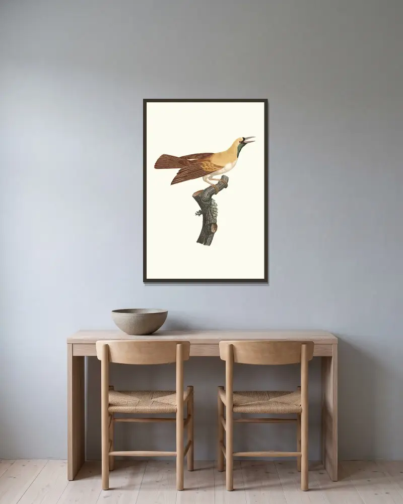 Femelle de petit Oiseau de paradis Emeraude. av Jacques Barraband inramad på en vägg