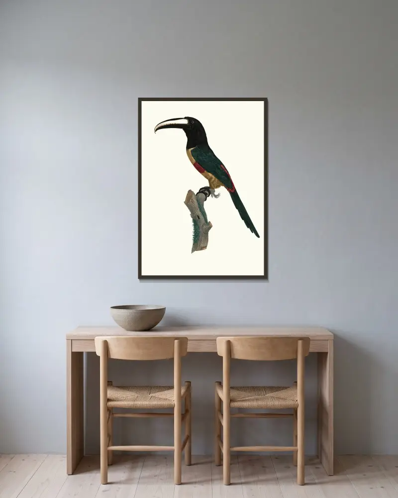 L’Aracari, à ceinture rouge. av Jacques Barraband inramad på en vägg