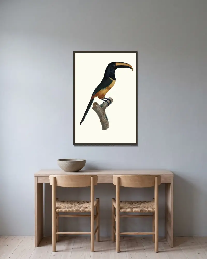 Aracari med rött band i hög ålder av Jacques Barraband inramad på en vägg