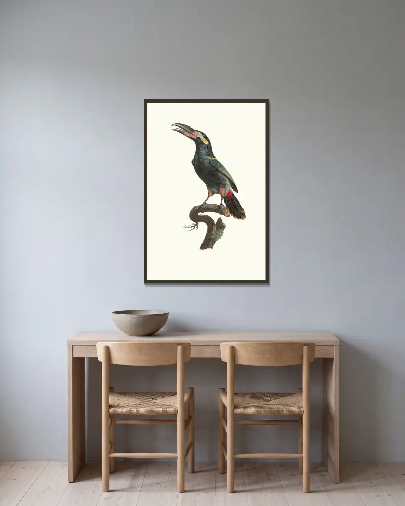 L’Aracari Koulik mâle de la Guyane. av Jacques Barraband inramad på en vägg