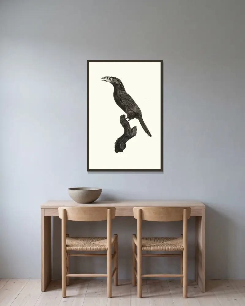 L’Aracari Koulik mâle du Brésil. av Jacques Barraband inramad på en vägg