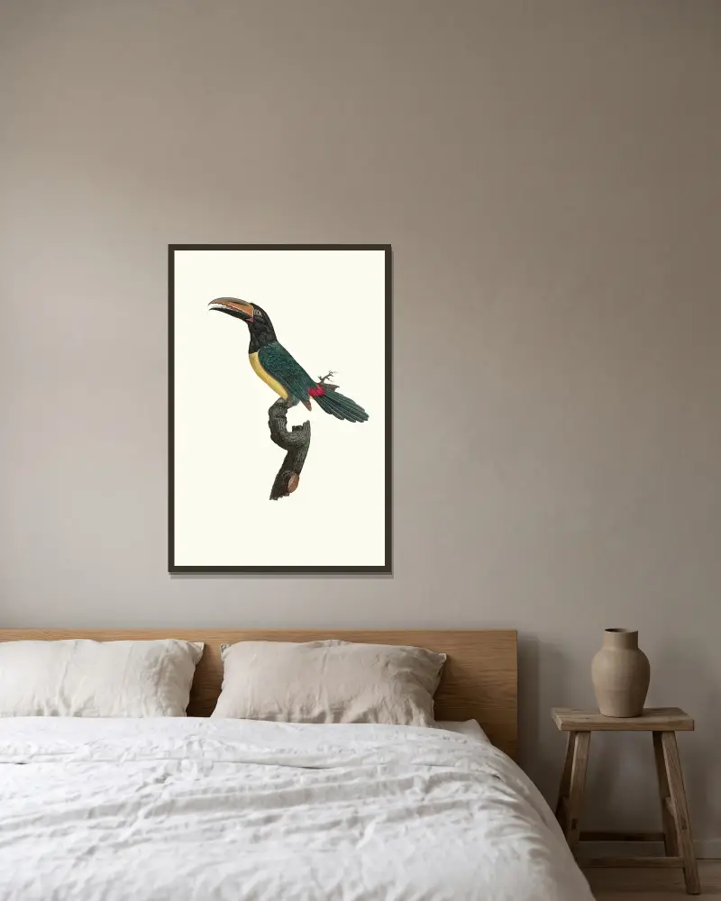 L’Aracari verd mâle. av Jacques Barraband inramad på en vägg
