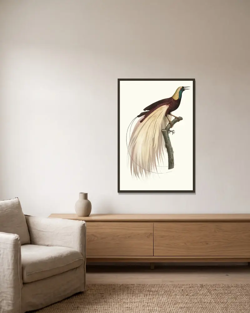 Le grand Oiseau de Paradis, éméraude, mâle av Jacques Barraband inramad på en vägg