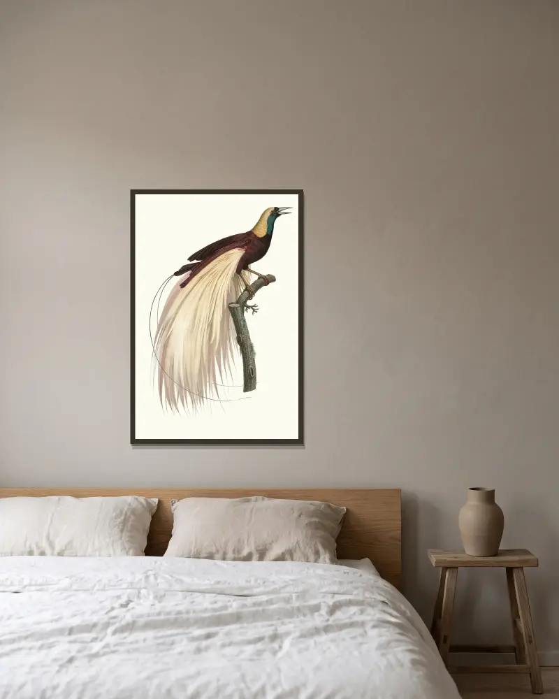Le grand Oiseau de Paradis, éméraude, mâle av Jacques Barraband inramad på en vägg