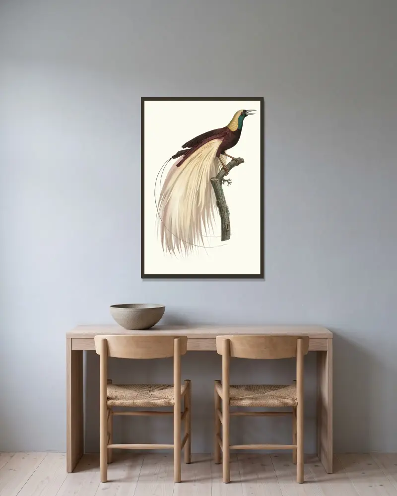 Le grand Oiseau de Paradis, éméraude, mâle av Jacques Barraband inramad på en vägg