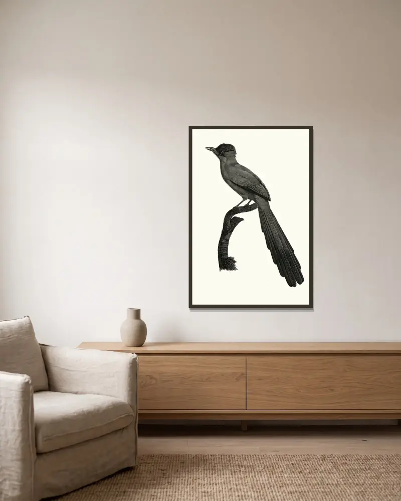 Le Motmot huppé von Jacques Barraband gerahmt an einer Wand