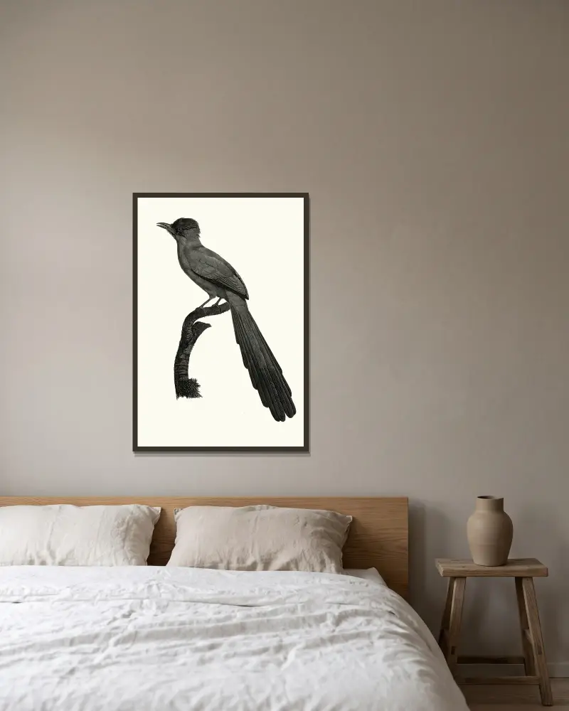 Le Motmot huppé von Jacques Barraband gerahmt an einer Wand