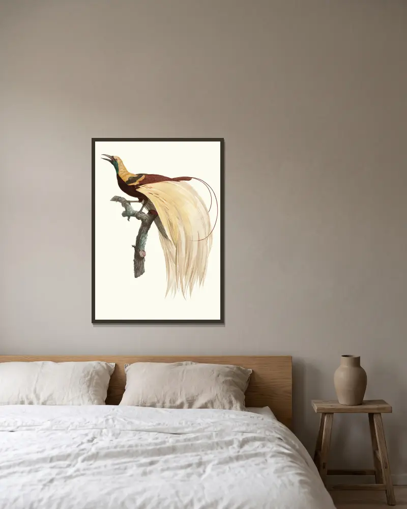 Le petit Oiseau de paradis Emeraude, mâle. av Jacques Barraband inramad på en vägg