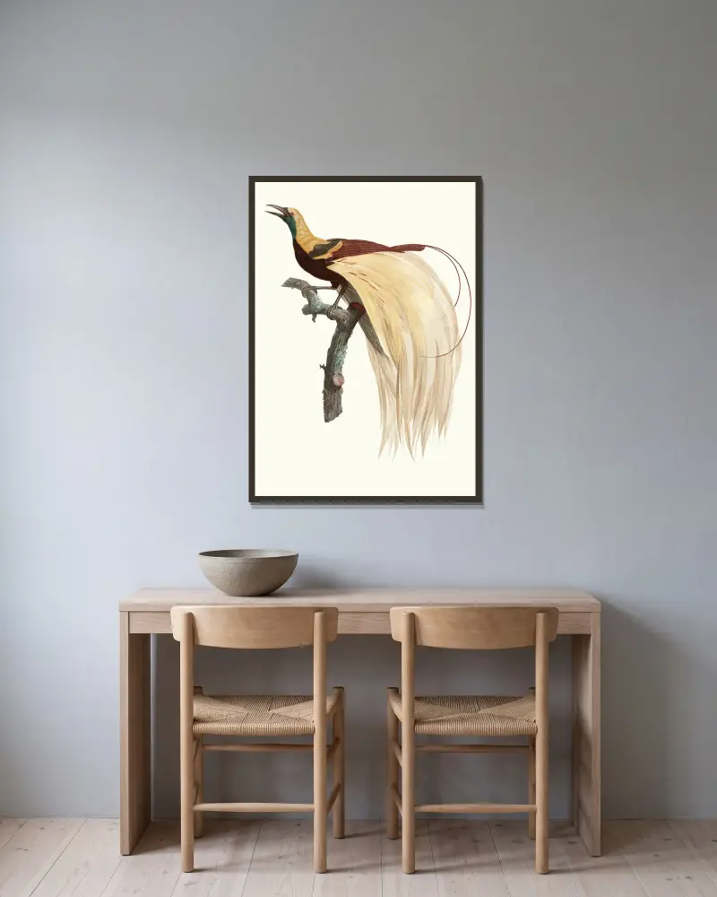 Le petit Oiseau de paradis Emeraude, mâle. av Jacques Barraband inramad på en vägg