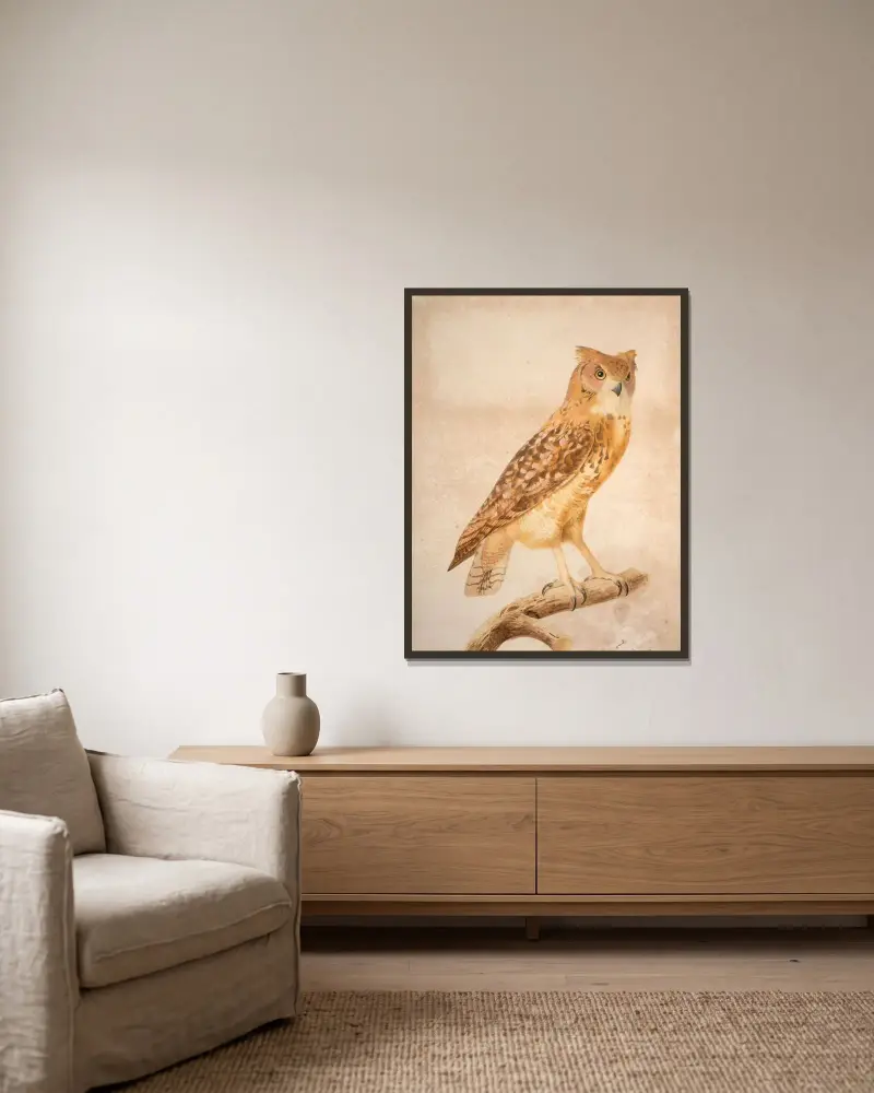 The Pharaoh eagle-owl (Bubo ascalaphus) av Jacques Barraband inramad på en vägg
