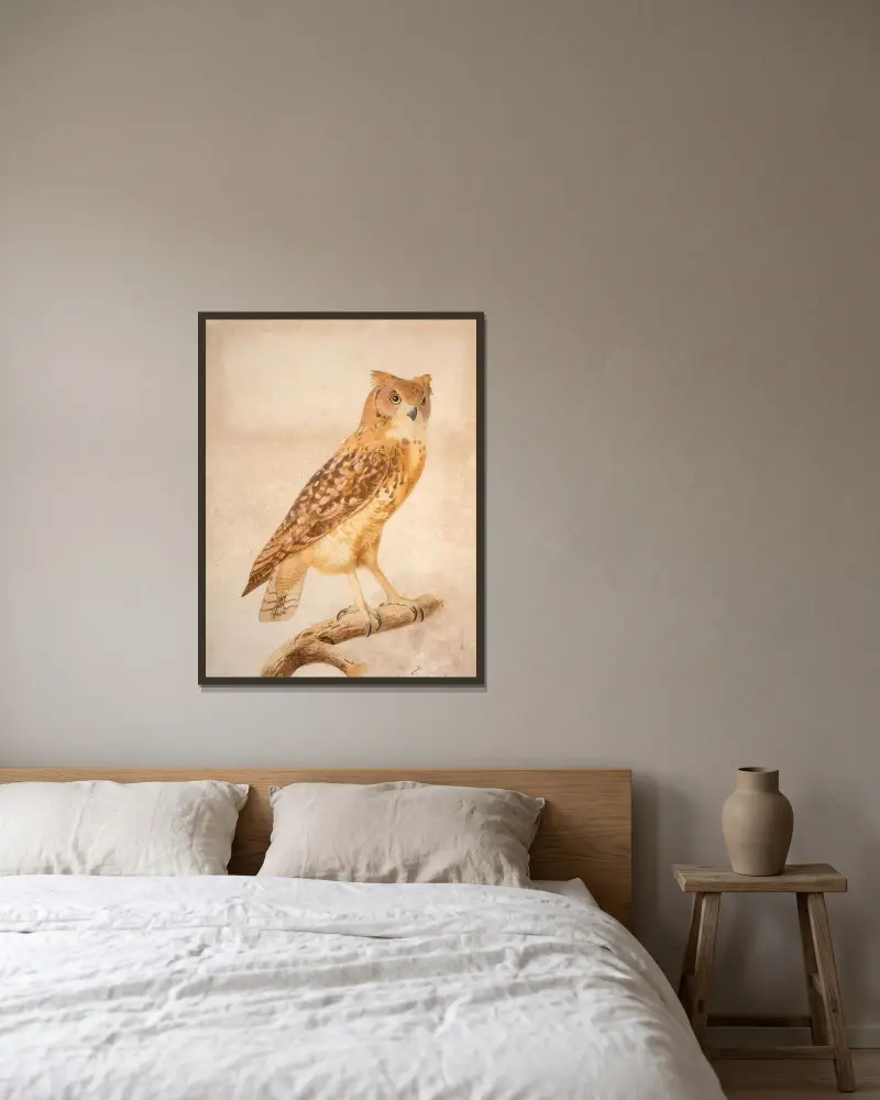 The Pharaoh eagle-owl (Bubo ascalaphus) av Jacques Barraband inramad på en vägg