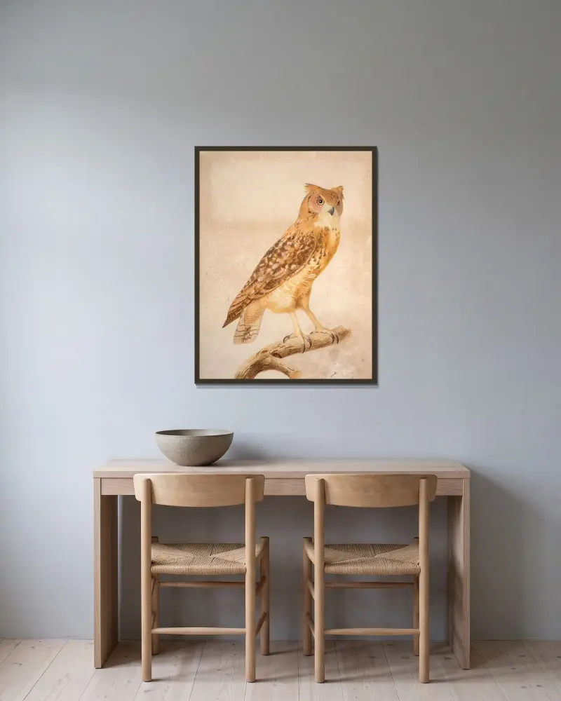 The Pharaoh eagle-owl (Bubo ascalaphus) av Jacques Barraband inramad på en vägg