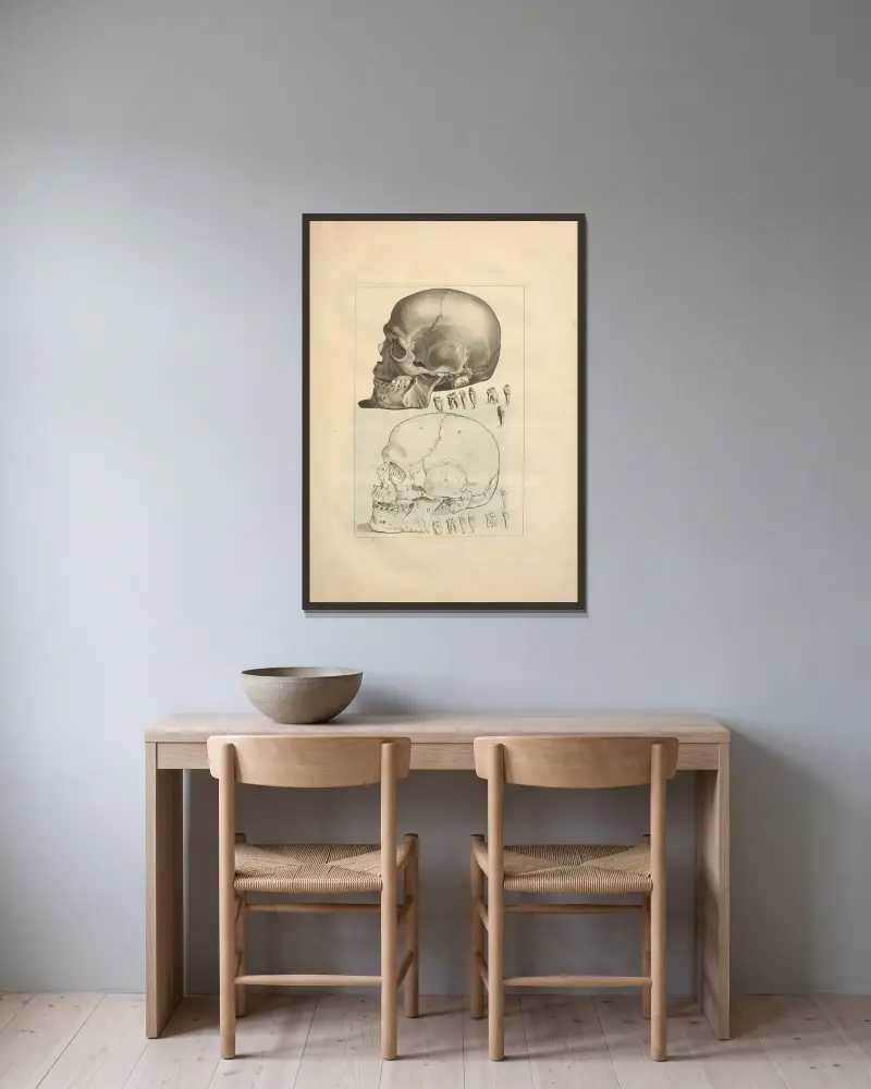 Nouveau recueil d’ostéologie et de myologie; dessiné d’après nature Pl.12 av Jacques Gamelin inramad på en vägg