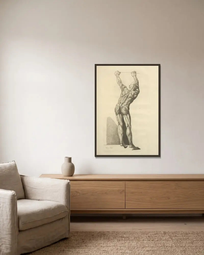 Neue Sammlung der Osteologie und Myologie; nach der Natur gezeichnet, Taf. 55 von Jacques Gamelin gerahmt an einer Wand