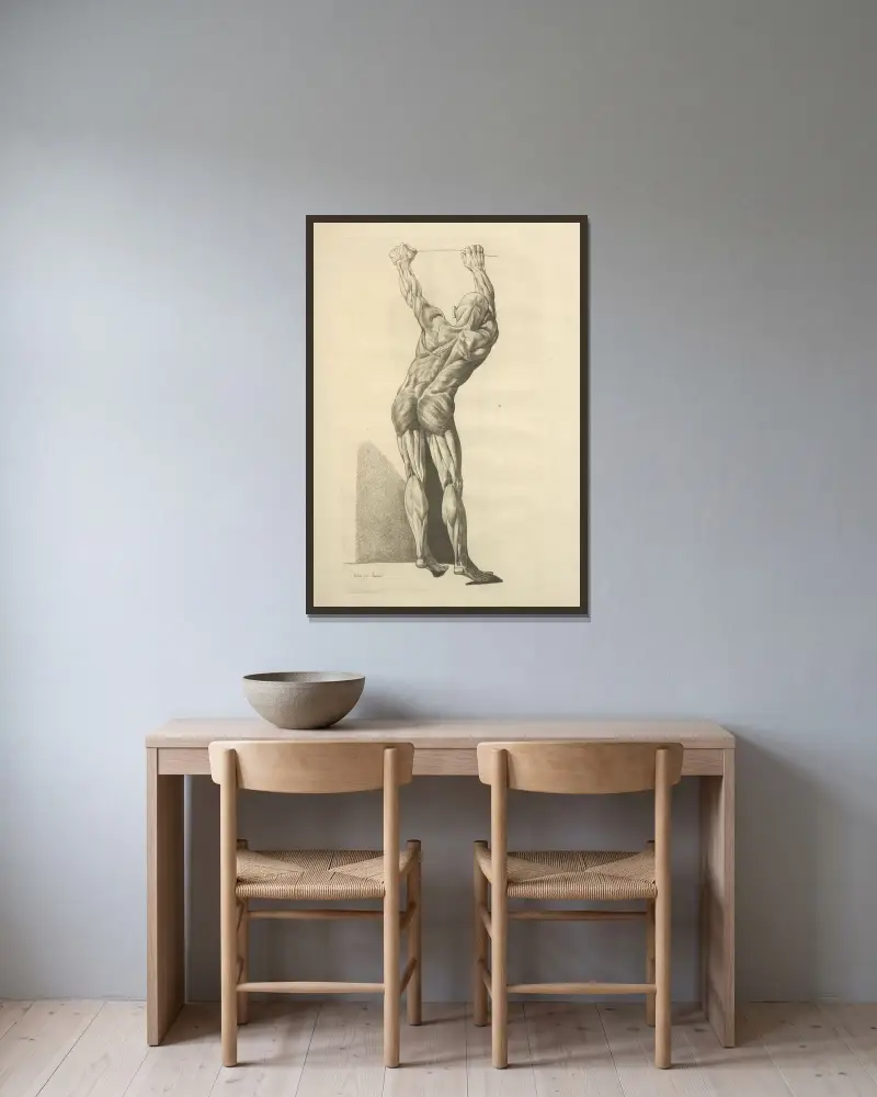 Neue Sammlung der Osteologie und Myologie; nach der Natur gezeichnet, Taf. 55 von Jacques Gamelin gerahmt an einer Wand