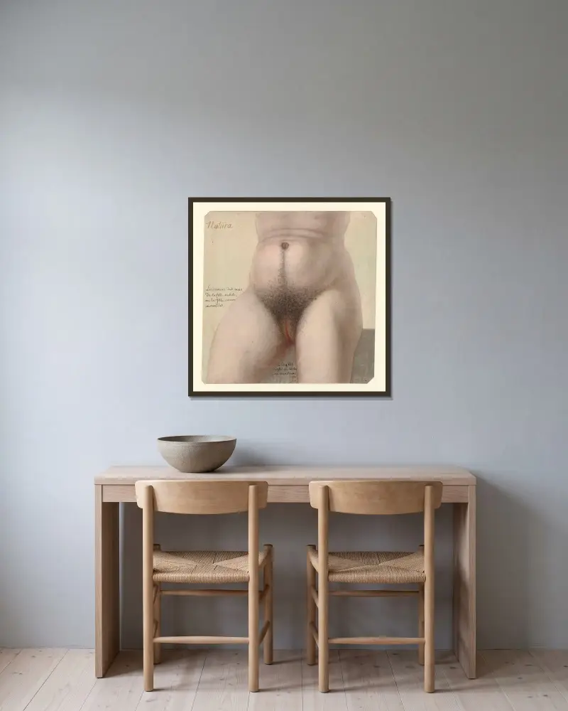 Natura av Jean Jacques Lequeu inramad på en vägg