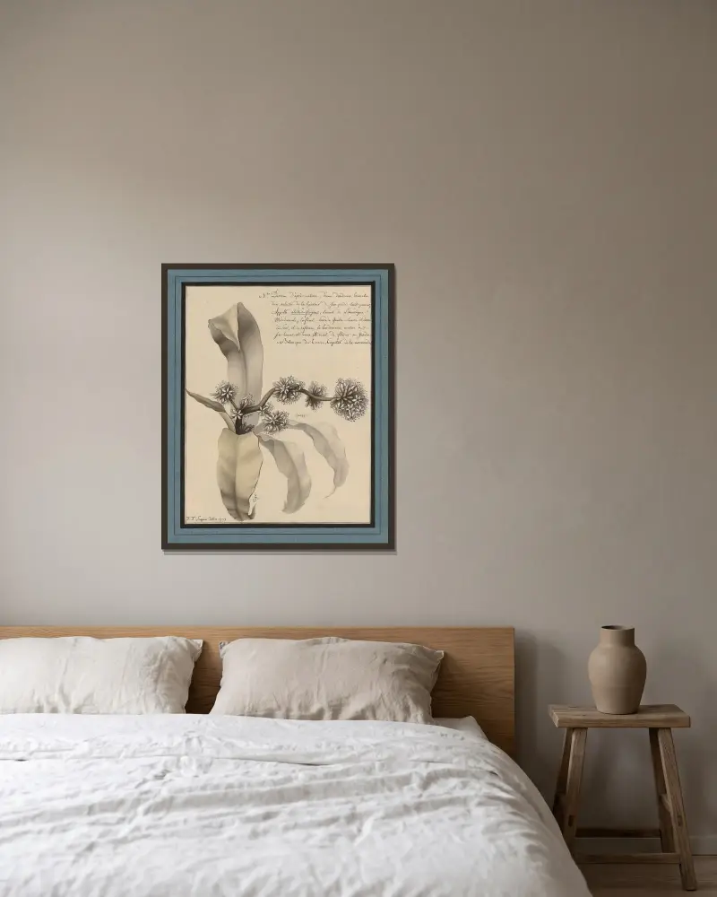 Planche de botanique von Jean Jacques Lequeu gerahmt an einer Wand