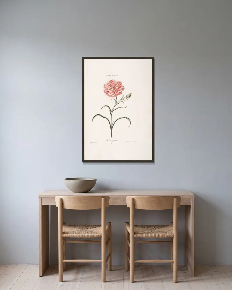 Caryophyllus XI. Phoenix florum von Christoph Jakob Trew gerahmt an einer Wand