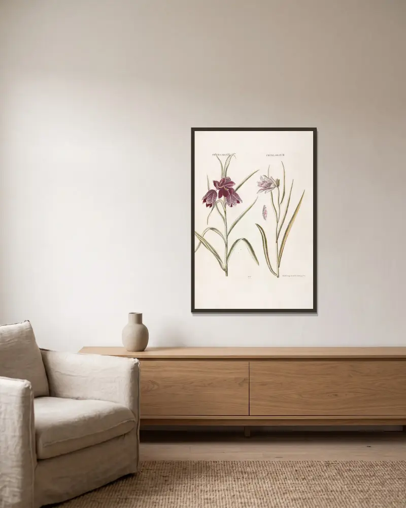 Fritillaria VII. Fritillaria VIII av Christoph Jakob Trew inramad på en vägg